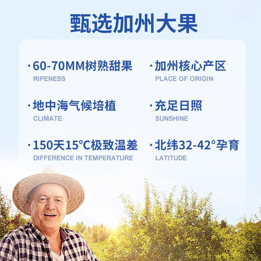 控能无核西梅干便秘无添加蔗糖0脂孕妇零食果干孕吐孕期酸味缓解 商品图4