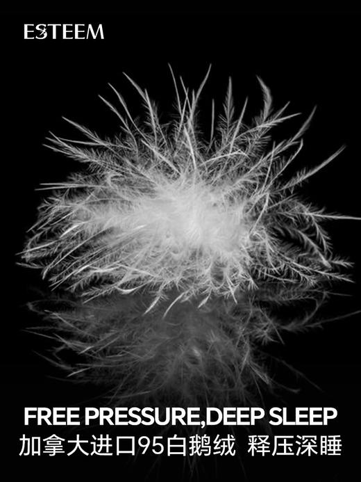 焕羽鎏光可水洗鹅绒被四件套 商品图3