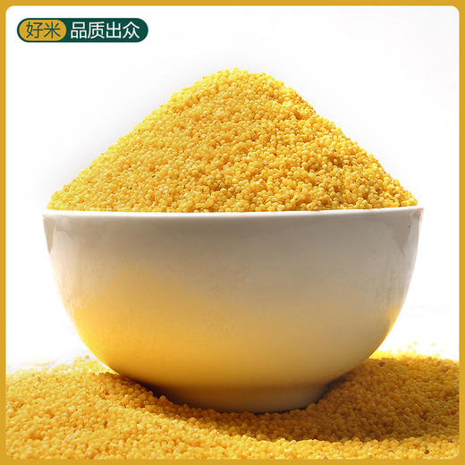 【章丘特产】平陵城 龙山小米 2023年新米 商品图2