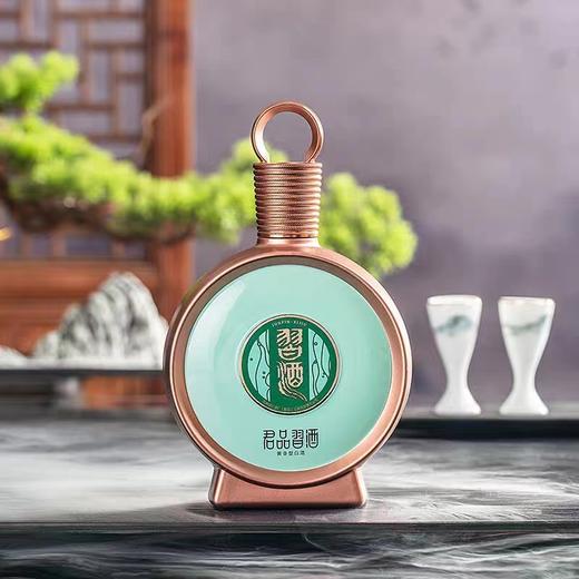 习酒【官方授权】君品53度500ml酱香型白酒宴请节日节日送礼旗舰品 单瓶 商品图1