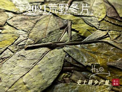 【史上最少】2021荒野冬片，每一饼，都藏着最深的冬，存量仅259席 商品图3