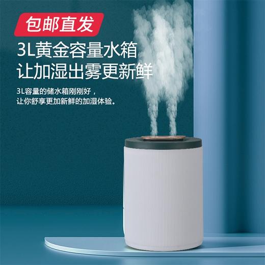 山水（SANSUI）3L双喷头加湿器（SJS-Q12）1台【包邮直发】 商品图1