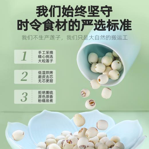 【杞里香磨皮白莲子干货去芯200g/袋】无芯湖南湘潭袋装搭百合银耳   稍煮即糯 色如凝脂 无芯三寸莲 商品图1