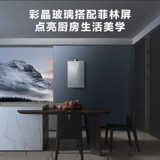 海尔（Haier）热水器 JSQ31-16FXE-FJXGU1（12T） 商品图7