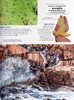 预售 【中商原版】DKEyewitness系列 国家公园百科 Eyewitness National Parks 英文原版 科普 美国国家公园 动物自然景观 商品缩略图7