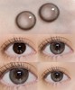 Pupil Magic 夜鹿冷灰/夜鹿雾粉/夜鹿麻黑 14.5mm 年抛 商品缩略图9