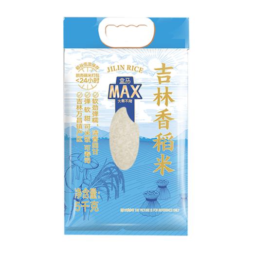 盒马 MAX 吉林香稻米 5kg*2 商品图3