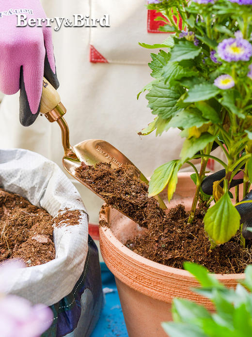 Berry&Bird郁金香手铲 商品图3