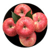 【包邮  】农家  红富士苹果  密云山区种植  脆甜多汁  不打蜡  3斤 商品缩略图7