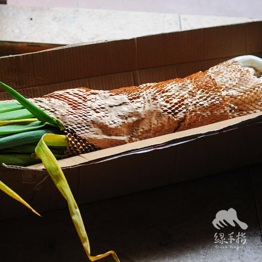 生态白鹿原大葱 | 合作生产*Ecological Bailuyuan Scallion | Coproduction 商品图4