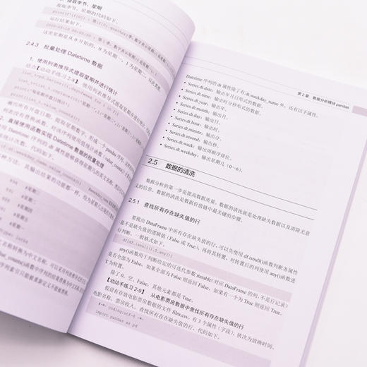 Python数据分析与挖掘 数据处理Python数据挖掘Pandas数据结构计算机数据分析书籍 商品图2