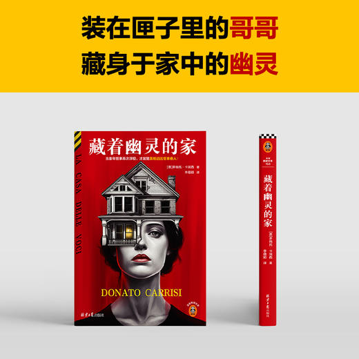 读客藏着幽灵的家 意大利超高口碑心理悬疑小说 童年怪事 瘆人真相 商品图6