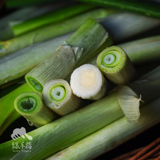 生态白鹿原大葱 | 合作生产*Ecological Bailuyuan Scallion | Coproduction 商品图2