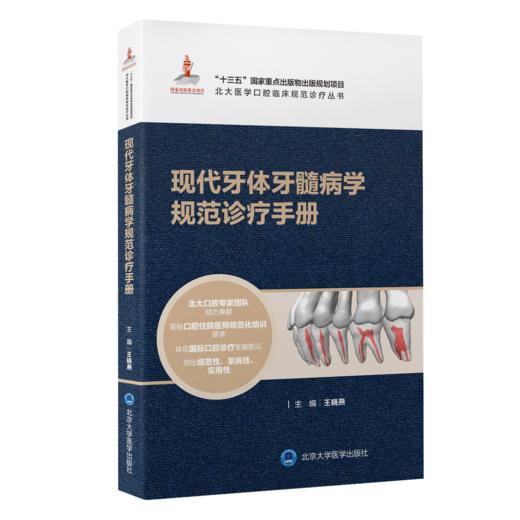 【2本套】牙髓之路 第11版+现代牙体牙髓病学规范诊疗手册 临床牙髓再生技术口腔医学医师书根管治疗图谱检查高阶科学种植实用技术 商品图3