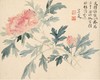 恽寿平南田没骨画精品花鸟册页10幅 原大高清宣纸复制（未装裱） 商品缩略图5