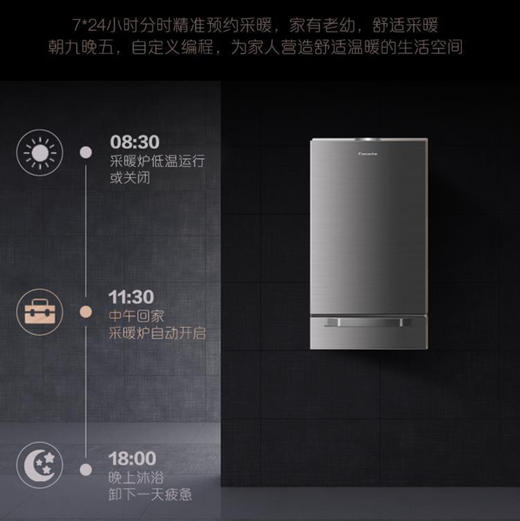 卡萨帝（Casarte）壁挂炉 L1PB30-CL5(T)U1 商品图12