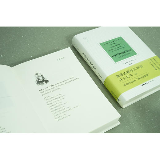 天下·对法学的戏谑与认真：给法学读者的礼物   [德] 鲁道夫·冯·耶林著 张焕然译  法律出版社 商品图9