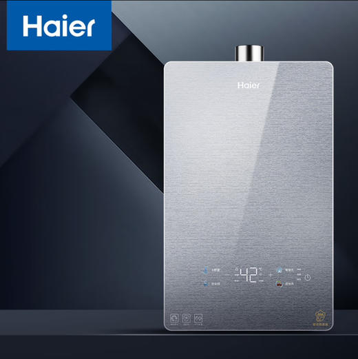 海尔（Haier）热水器 JSQ31-16FXE-FJXGU1（12T） 商品图1