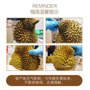 京鲜生 进口金枕头榴莲 1个装 总重4kg以上 生鲜水果 商品图3