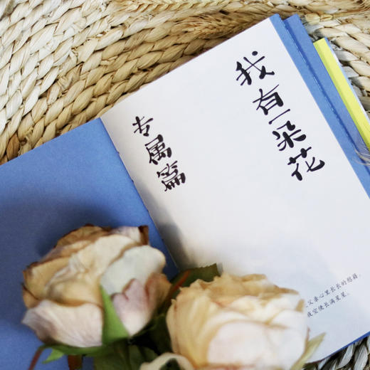 xin有花田万事香 商品图5