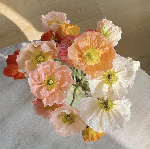 配花 | 虞美人混色 商品图0