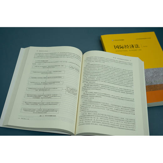 国际经济法（第四版） 王传丽主编 商品图4