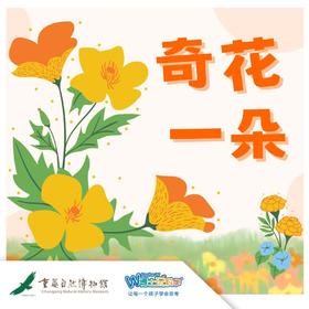 重庆自然博物馆 | 奇花一朵