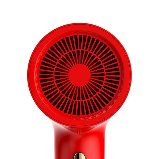 【荷兰艾优 Apiyoo】GF3国风负离子吹风机 -（GF3） 商品图4