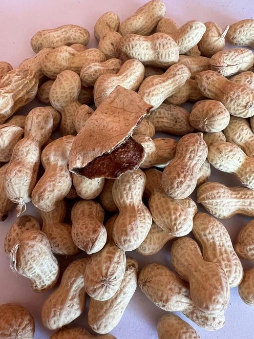 【4包起拍】陈皮花生 250克/包 商品图2