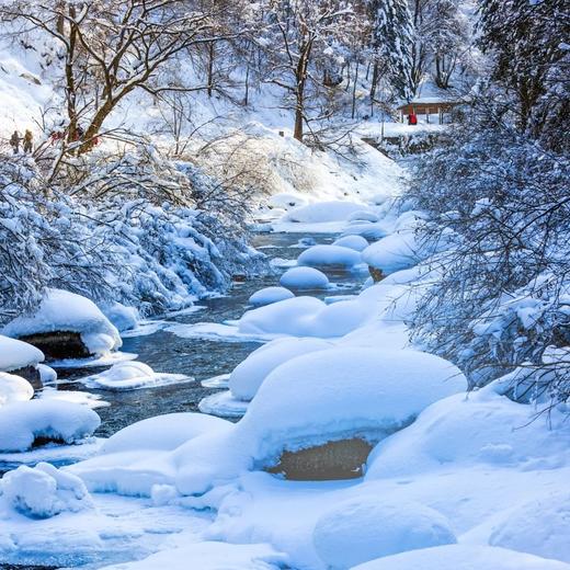 美宿 | 觅雪长白6天5晚/5天4晚 商品图4