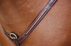 马胸带 前胸带 胸带 比利时dyon胸带 马具 马术用品 商品缩略图3