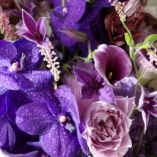 浓郁香槟 Rich Champagne 商品图2