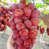 浪漫红颜葡萄 500g/份（比阳光玫瑰还甜，果粒大、有点心形状、脆爽、无籽）） 商品缩略图1