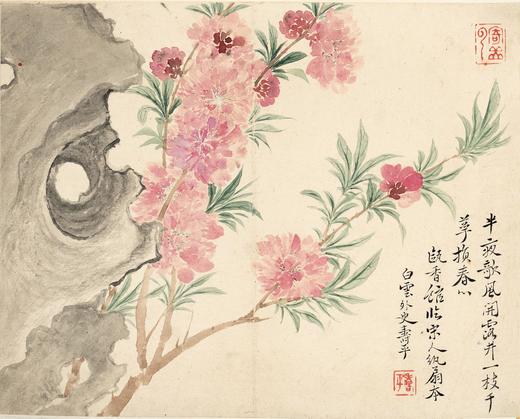 恽寿平南田没骨画精品花鸟册页10幅 原大高清宣纸复制（未装裱） 商品图9