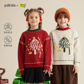 fx-儿童趣味圣诞毛衣PDMY2304