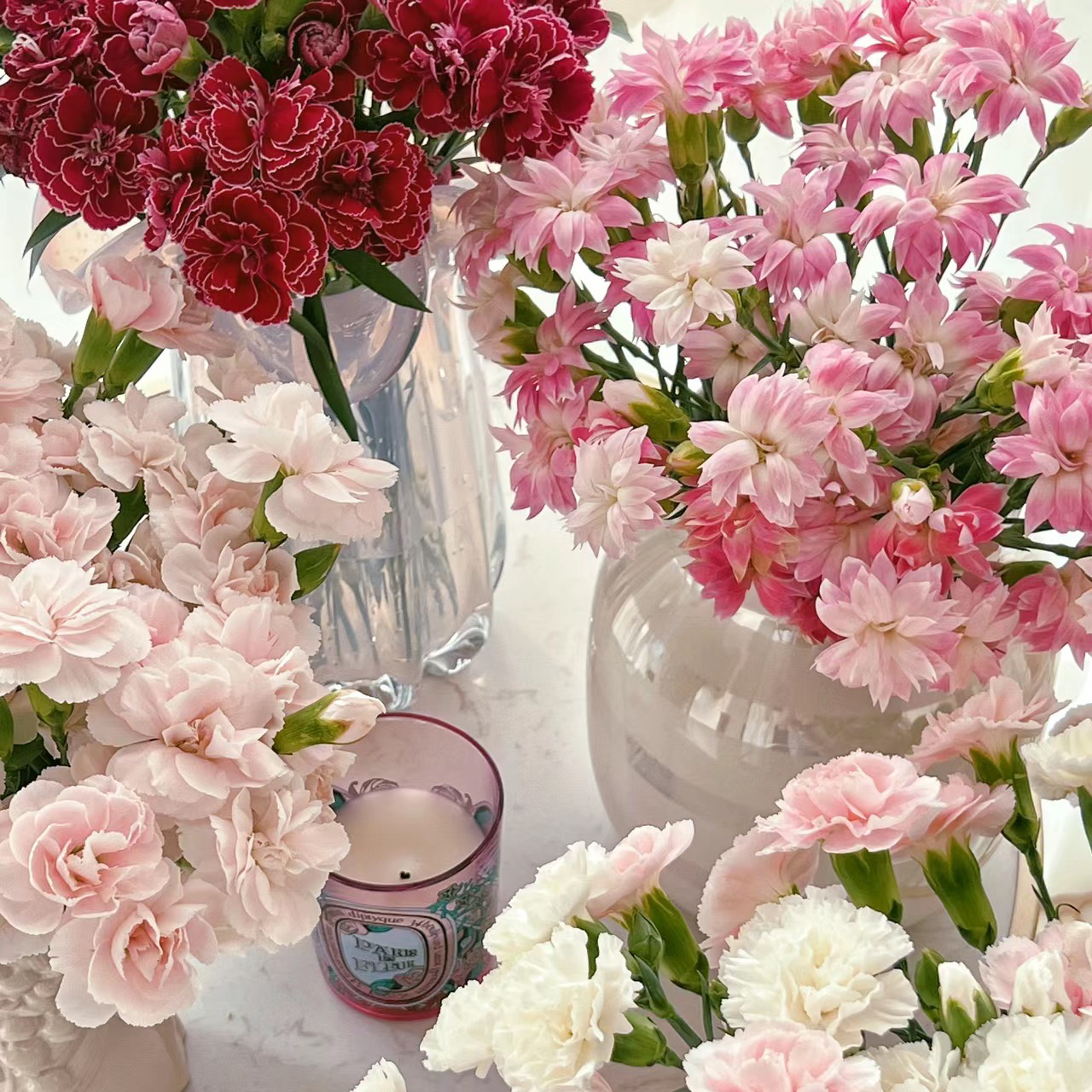 随机多头康乃馨丨20支  【单拍不发】