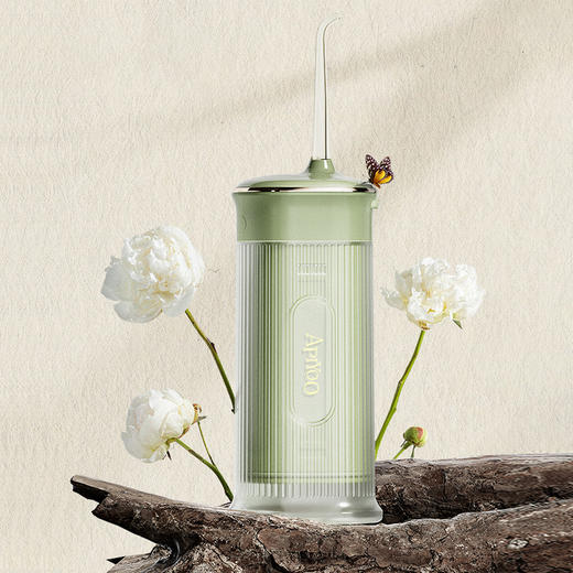 【荷兰艾优 Apiyoo】APIYOO复古智能冲牙器-（X11 ） 商品图3