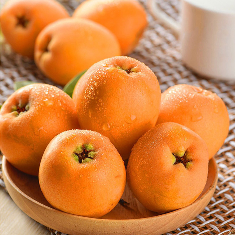 【云南.蒙自枇杷】正宗蒙自枇杷，新鲜采摘，形如琵琶，色如黄杏，果肉细腻，味甜多汁，如此诱惑，岂能放过～