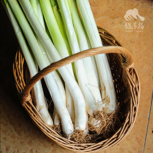 生态白鹿原大葱 | 合作生产*Ecological Bailuyuan Scallion | Coproduction 商品图0