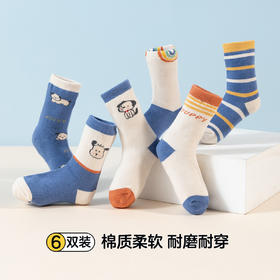 贝贝怡童袜儿童卡通宝宝袜男童四季款软糯舒弹棉袜（6双装）JB5CP003