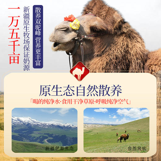 驼牧尔纯驼奶粉300g罐装新疆骆驼奶老年成人驼奶粉 商品图3
