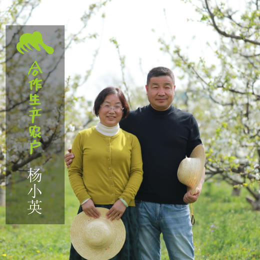 生态白鹿原大葱 | 合作生产*Ecological Bailuyuan Scallion | Coproduction 商品图1