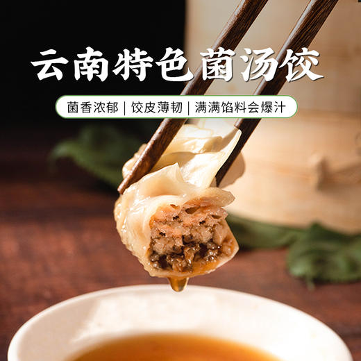 鲜菌饺子 3种云南奢材菌菇入料选 商品图0