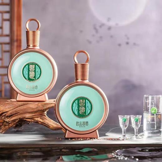 习酒【官方授权】君品53度500ml酱香型白酒宴请节日节日送礼旗舰品 单瓶 商品图3