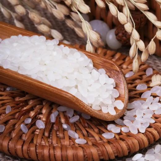 散宏光东北珍珠米（约500g/份） 商品图0