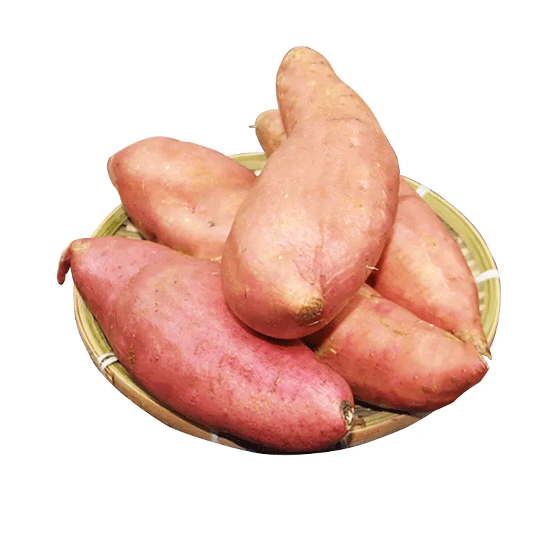 蜜薯约1.45~1.55kg/份