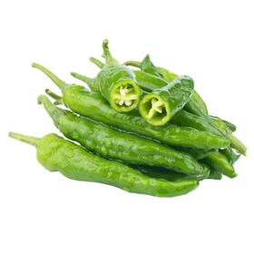 本地辣椒（约500g/份）