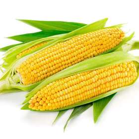 甜玉米（个）
