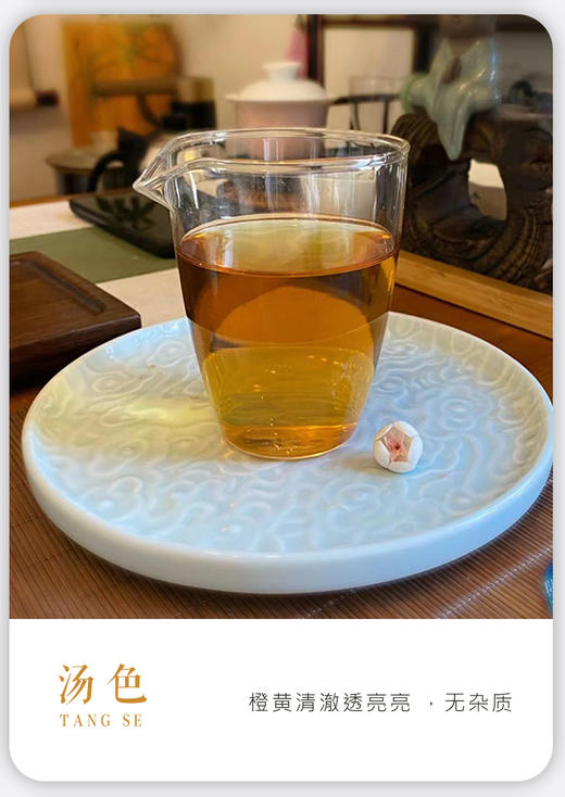 凤凰单枞 | 2023年 正春 宋种100G/罐 商品图3