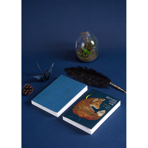 我们与祖先交谈的夜晚 商品图2